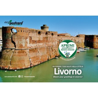 Eco-Postcard cartolina souvenir Fortezza Vecchia Livorno - Ipomea