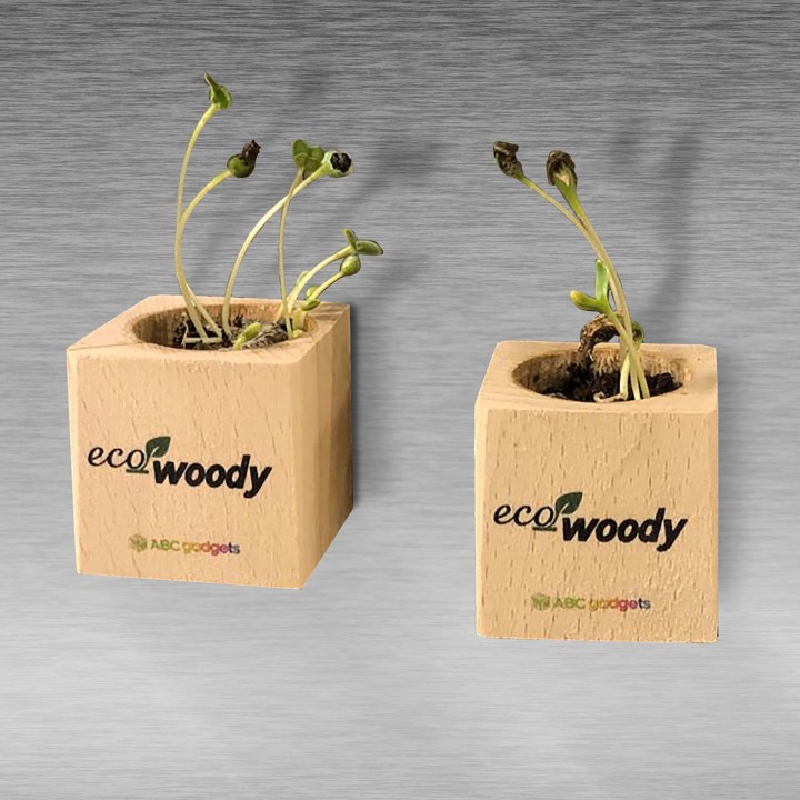 Eco-Woody cubo di legno con semi di Calendula