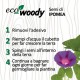Eco-Woody cubo di legno con semi di Ipomea