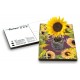 Eco-Postcard Auguri Festa della Donna 8 - Girasole