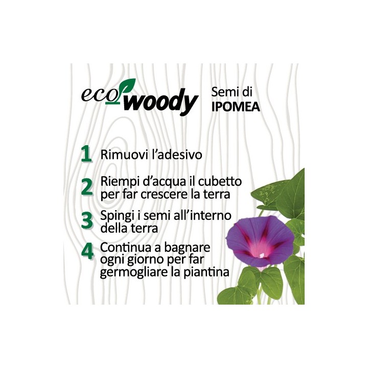 Eco-Woody LOVE cubo di legno con semi di Ipomea