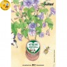 Eco-Postcard Illustrazione ad Acquerello - Ipomea