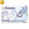 Eco-Postcard zodiaco Acquario - Borragine