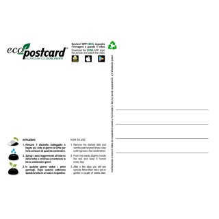 Eco-Postcard cartolina Bee Friends - mix di semi amici delle api
