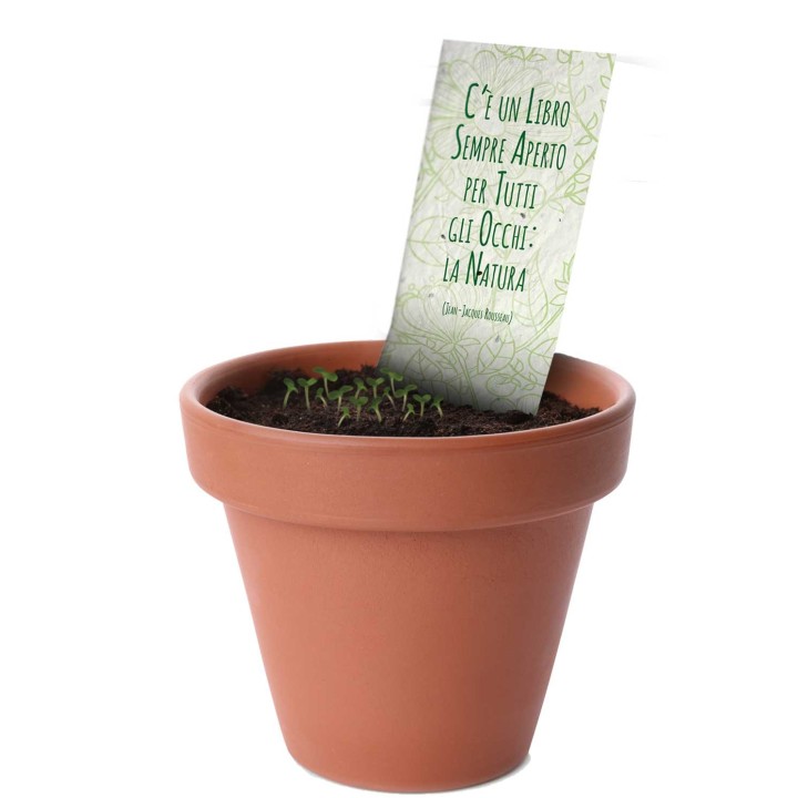 SPROUT + ECO-CARD
