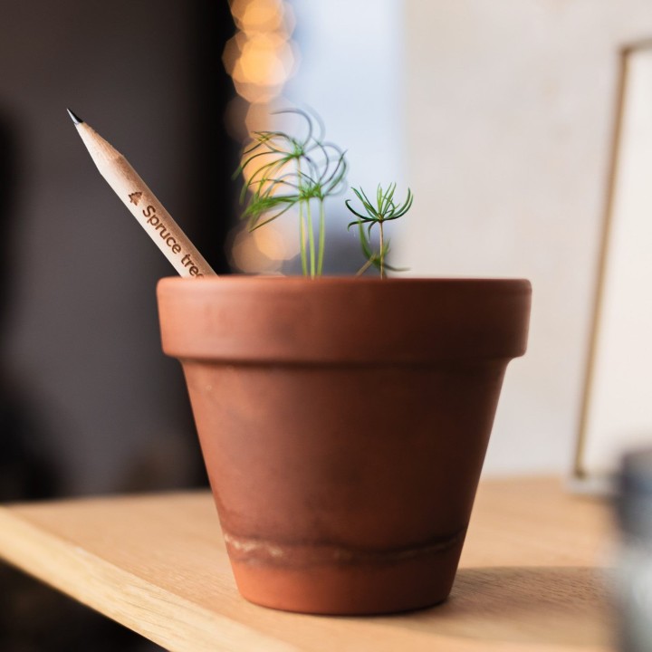 SPROUT + ECO-CARD