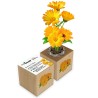 Eco-Woody - Cubo di legno 100% ecologico con semi di Calendula