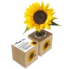Eco-Woody - Cubo di legno 100% ecologico e sostenibile con semi di Girasole