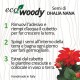 Eco-Woody cubo di legno con semi di Dalia