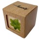 Eco-Woody - Cubo di legno 100% ecologico e sostenibile con semi di Basilico