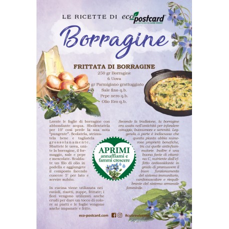 Eco-Postcard con Ricetta Frittata di Borragine