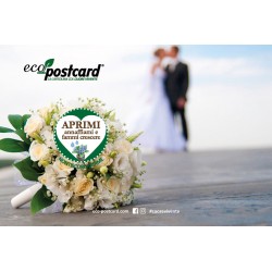 Eco-Postcard Auguri Matrimonio anelli - Nontiscordardime