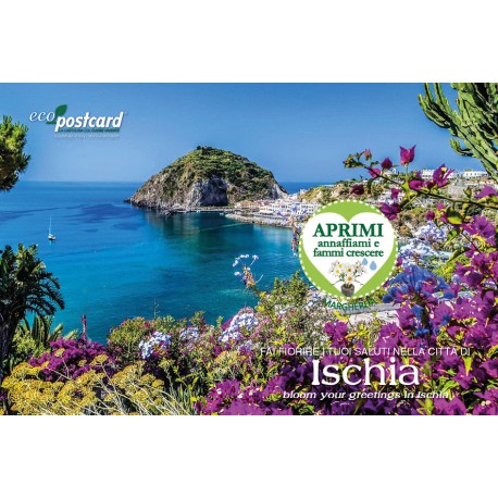 Eco-Postcard cartolina souvenir Ischia
