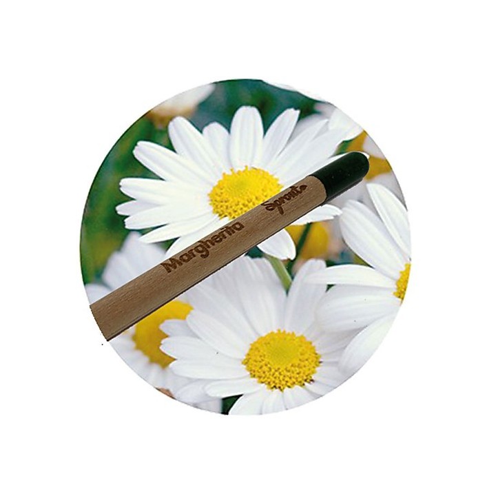 SPROUT + ECO-CARD