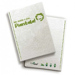 Quaderno ecologico in carta riciclata che germoglia Eco-Card 12x17