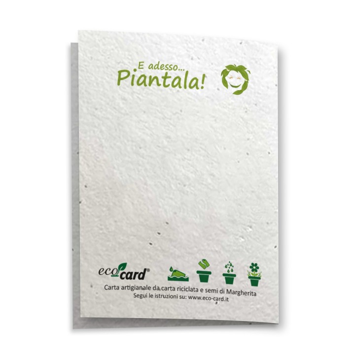 ECOCARD Biglietto Augurale COMPLEANNO in carta piantabile con semi MARGHERITA