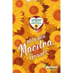 Eco-Postcard cartolina Regalo Maestra