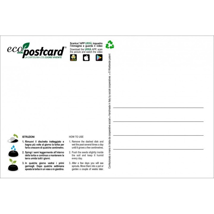 Eco-Postcard AIHIP per Haiti