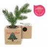 Eco-Woody Natalizio - Cubo di legno 100% ecologico con semi di Abete