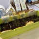 ECO-CARD cartolina biodegradabile piantabile neutra ai fiori misti