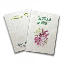 ECO-CARD - Biglietto Pieghevole AUGURIO NATURALE in carta piantabile - FIORI MISTI - 10x14 cm