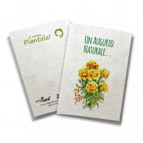 ECO-CARD Biglietto Auguri Naturali in carta piantabile con TAGETE