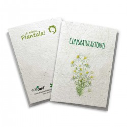 Mopec Biglietti Natalizi Fustellati – 5 Fogli Da 36 Carte – 3,5x5 Cm – Per Pacchetti Regalo, Portabanconote