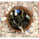 ECORIANDOLI coriandoli ecologici e sostenibili in carta piantabile con semi di fiori misti