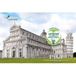 Eco-Postcard cartolina souvenir Pisa