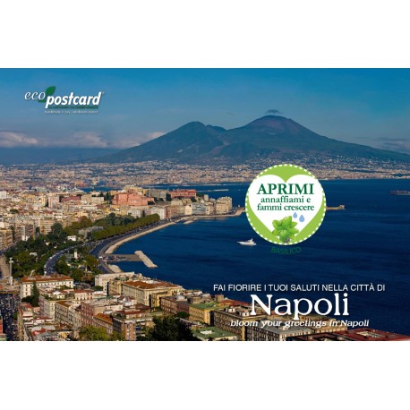 Eco-Postcard cartolina souvenir Golfo di Napoli