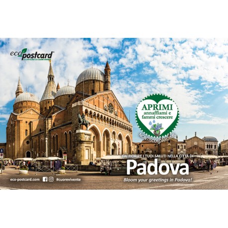 Eco-Postcard cartolina souvenir Padova