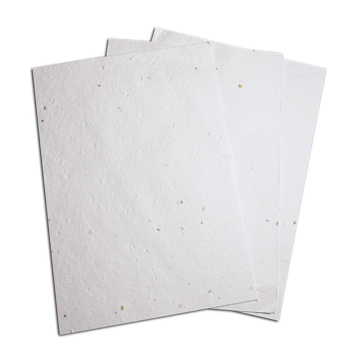 Eco-Card fogli carta piantabile - semi di verdure