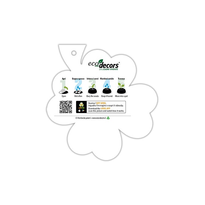 Eco-Decors Sagomata Quadrifoglio– Quadrifoglio