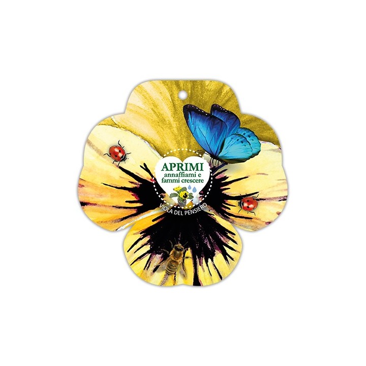 Eco-Decors Sagomata Viola del Pensiero – Viola del Pensiero