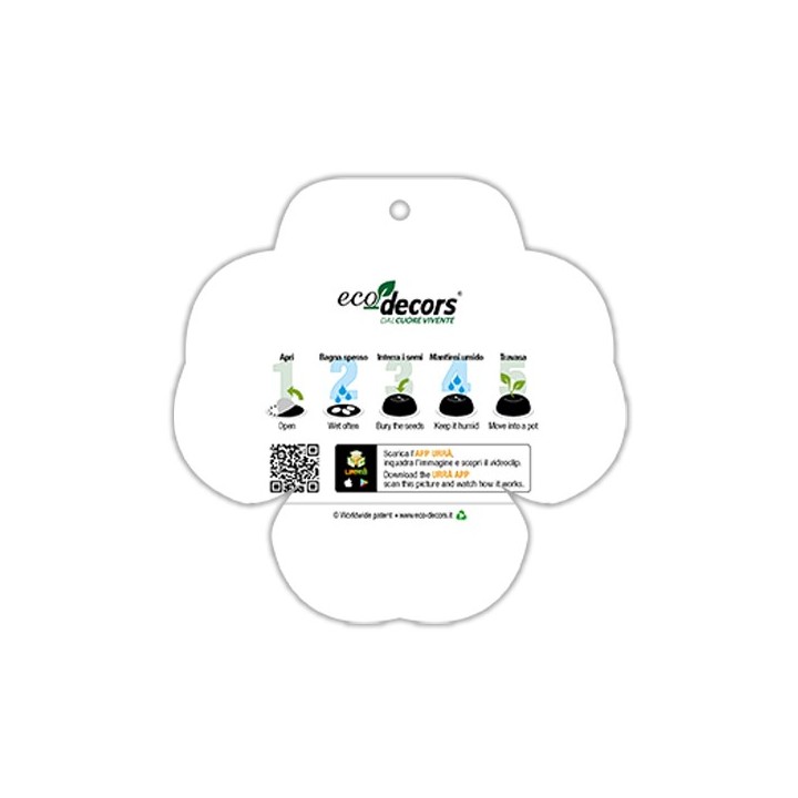 Eco-Decors Sagomata Viola del Pensiero – Viola del Pensiero