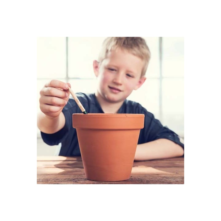 SPROUT + ECO-CARD