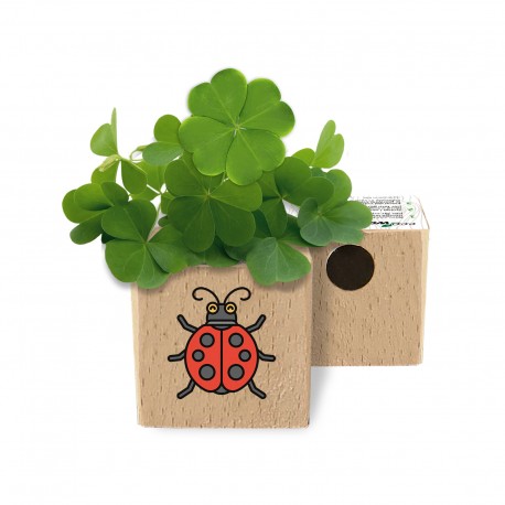 Eco-Woody cubo ecologico con semi di Quadrifoglio