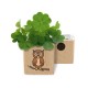 Eco-Woody - Cubo ecologico con semi di Quadrifoglio 
