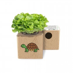Eco-Woody - Cubo ecologico con semi di Lattuga