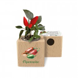 Eco-Woody - Cubo ecologico e sostenibile con semi di Peperoncino