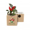 Eco-Woody - Cubo ecologico serie ERBE AROMATICHE con semi di Peperoncino