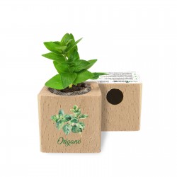 Eco-Woody - Cubo ecologico e sostenibile con semi di Origano
