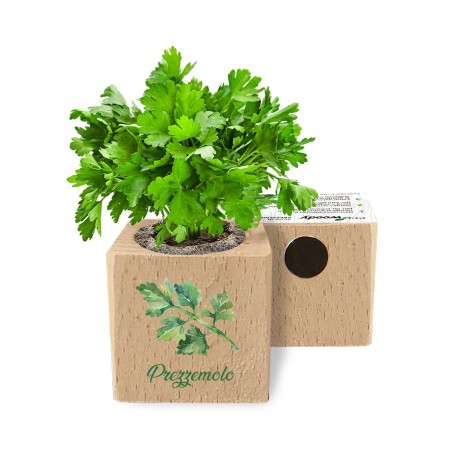 Eco-Woody - Cubo ecologico e sostenibile con semi di Prezzemolo