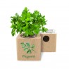 Eco-Woody - Cubo ecologico serie ERBE AROMATICHE con semi di Prezzemolo