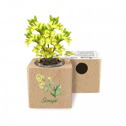 Eco-Woody - Cubo ecologico e sostenibile con semi di Senape