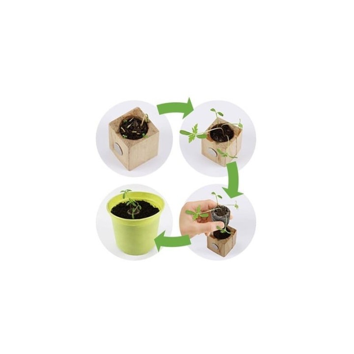 Eco-Woody - Cubo ecologico e sostenibile con semi di Salvia