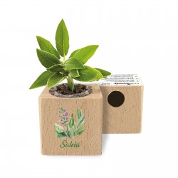 Eco-Woody - Cubo ecologico e sostenibile con semi di Salvia