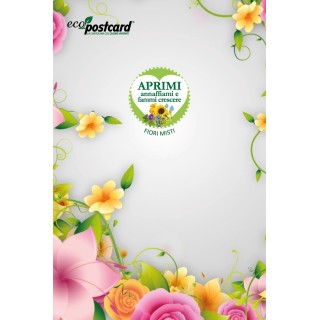cartolina auguri con fiori misti che germogliano