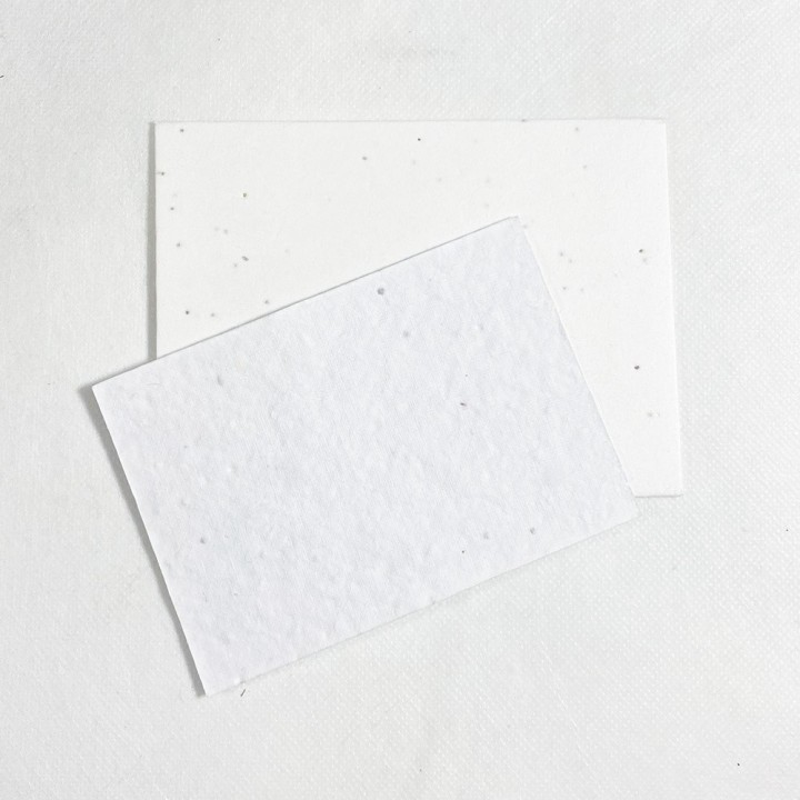 ECO-CARD busta  biglietto piantabile con semi per fiorai
