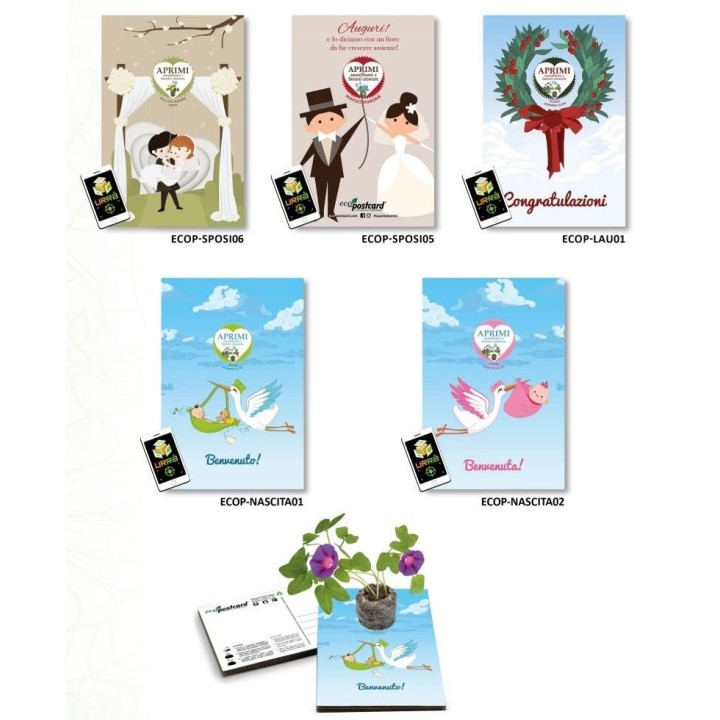 Espositore Eco-postcard - Collezione Celebrative